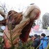 Раду пикетируют с головами коров на елках (фото, видео)
