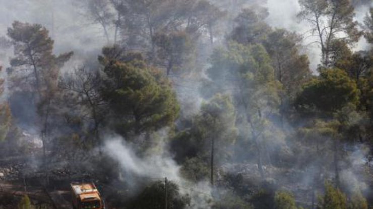 В Израиле арестованы подозреваемые в поджоге леса