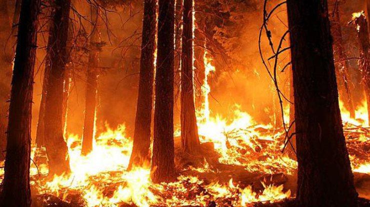 Более 10-ти погибших и по меньшей мере 100 пропавших — Пожары в Калифорнии