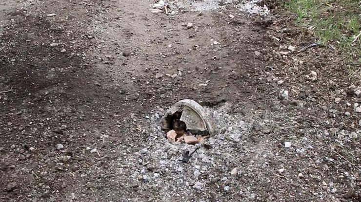 В Донецкой области мирная жительница подорвалась на растяжке В Донецкой области мирная жительница подорвалась на растяжке