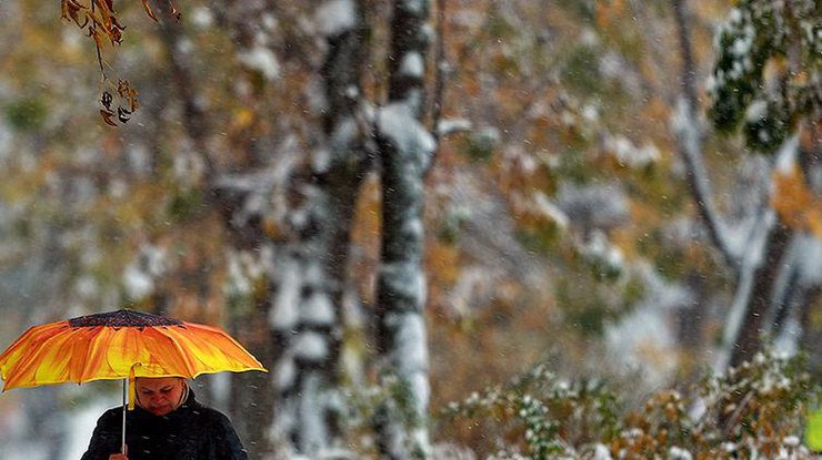 Снег и гололед ожидаются в Алтайском крае — МЧС Снег и гололед ожидаются в Алтайском крае — МЧС