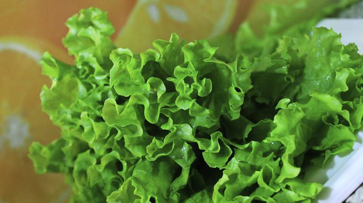 Ученые назвали продукт питания для замедления старения Ученые назвали продукт питания для замедления старения