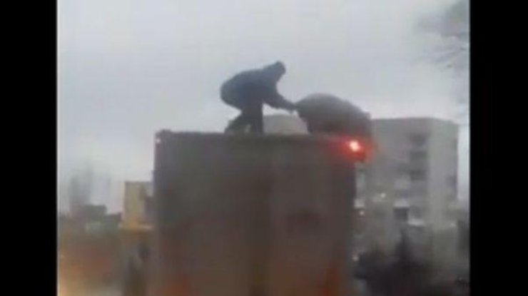 Под Киевом мужчина сражался со свиньей на крыше грузового автомобиля Под Киевом мужчина сражался со свиньей на крыше грузового автомобиля