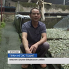 В'єтнамський підприємець розводить рибок у незвичному акваріумі
