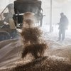 Окупанти масово вивозять українське зерно до Криму (відео)