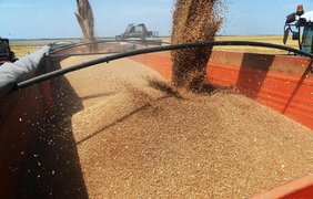 Євросоюз запровадить мито на зерно з росії та Білорусі