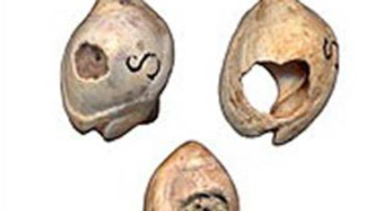 Археологи обнаружили самые древние украшения