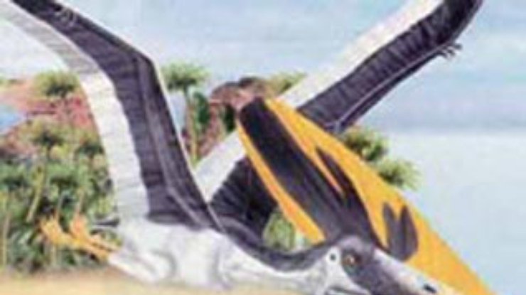Палеонтологи выяснили назначение гребня птерозавра