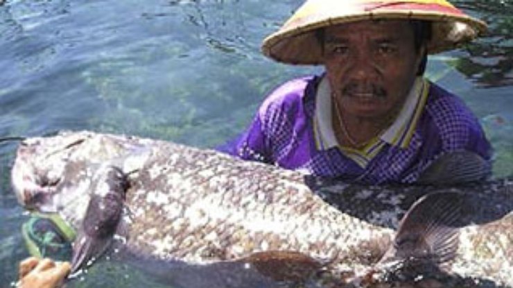 Индонезийский рыбак поймал редчайшую древнюю рыбу