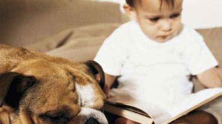 Американских детей учат читать собаки