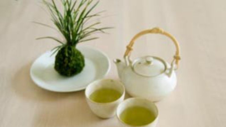 Особый вид зеленого чая помогает очень быстро сбрасывать вес