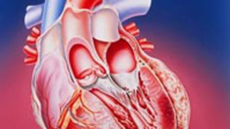 Лечение болезней сердца должно зависить от пола пациента