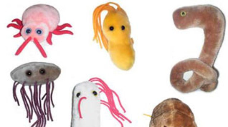 В США в качестве подарков детям предложат игрушечных микробов