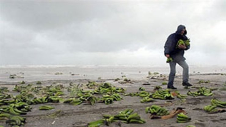 Побережье  двух голландских островов засыпало бананами