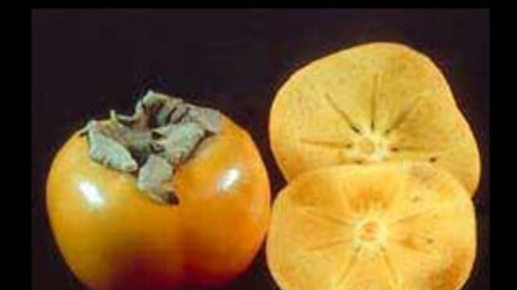 Ученые: Тайны оттаявшего фрукта