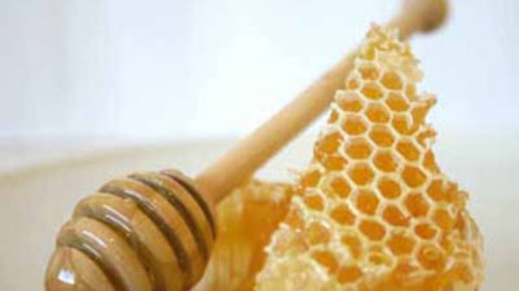 Мед может излечить от аллергии