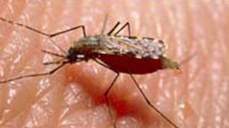 ООН начинает новую кампанию по борьбе с малярией