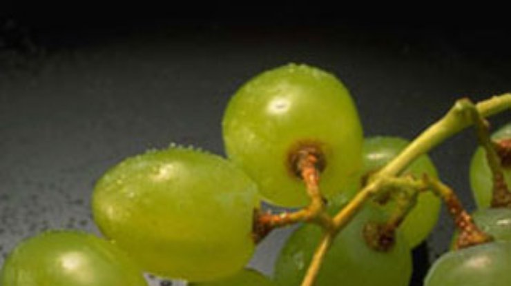 Виноградный сок позволяет сохранить хорошую память в пожилом возрасте