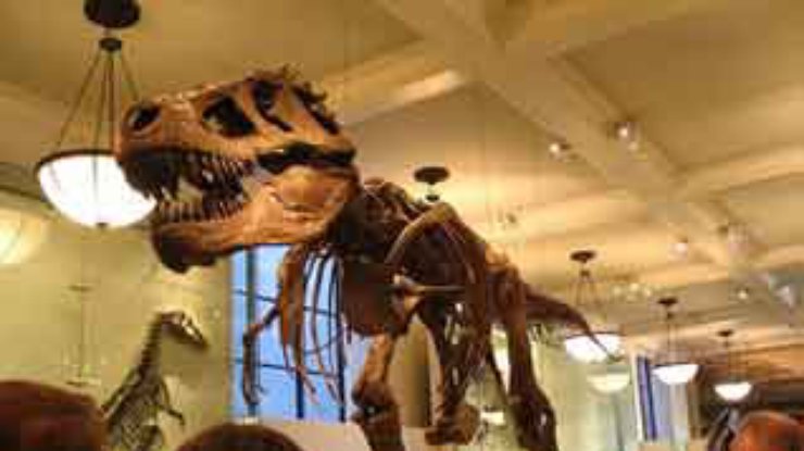 Найдены останки динозавров, погибших в борьбе