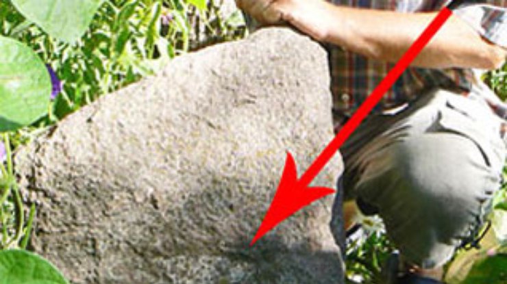 Камень с отпечатком ноги возрастом 20 миллионов лет нашли на Полтавщине