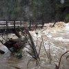 На наводнении в Закарпатье "отмыли"  410 миллионов гривен