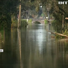 В Новому Орлеані зріс рівень злочинності через ураган "Айда"