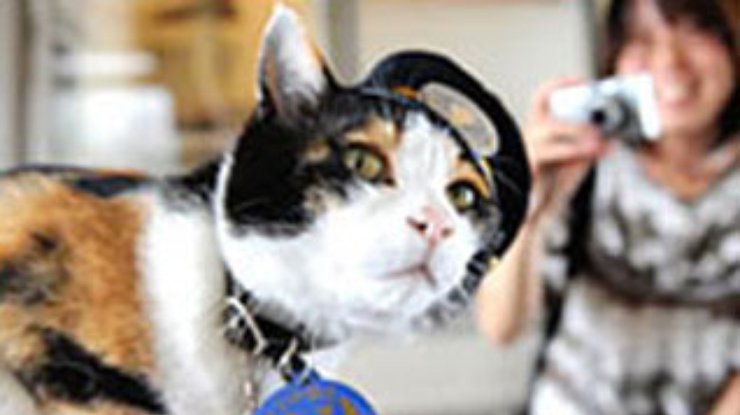 Кошка увеличила доходы железной дороги в Японии